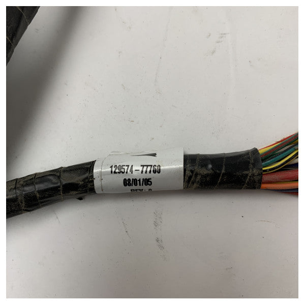 Chicote de fios Yanmar 6M - 129574-77760