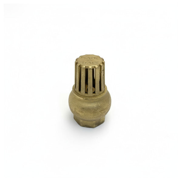 Maestrini Brass Foot Valve With Non-Return Flap 5605F
