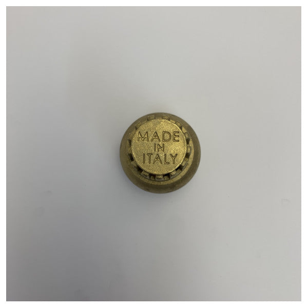 Maestrini Brass Foot Valve With Non-Return Flap 5605F