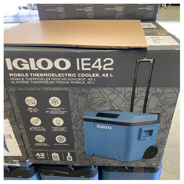 Igloo Thermoelektrischer Kühler 42L - Tragbare elektrische Kühlbox - 230V/12V - 9620013371