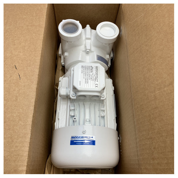 Gianneschi CP40 自吸式液体リングポンプ 230/400V - 01ACP4031