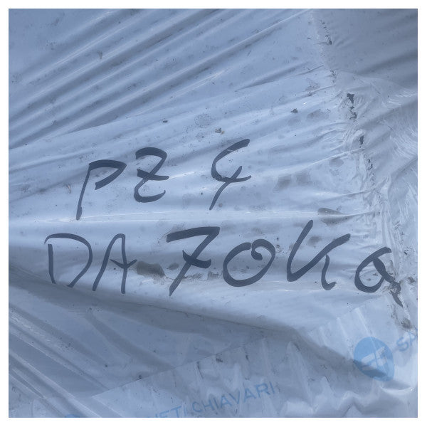 Sanguineti Pool Anchor 70 KG galvaniserat RINA-certifierat