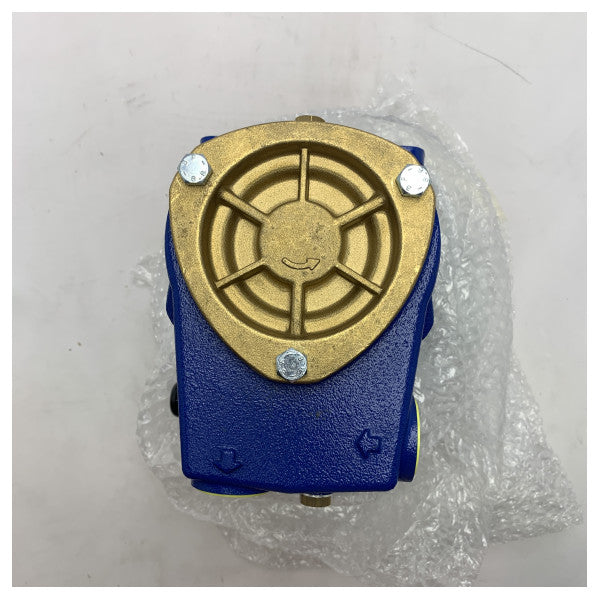 LOWARA SP5X Self Priming Periferali Pompa 230V