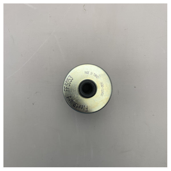 Паливний фільтр Fleetguard FF5053 білий