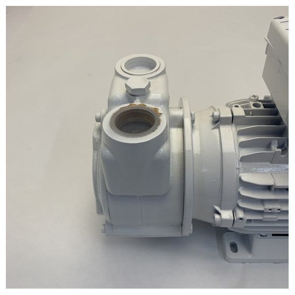 Gianneschi CP26 A1 230V Selvprimende Messingpumpe - 01ACP2602A1