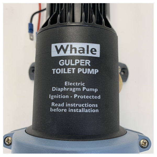 Pompa wody Whale Gulper BP2554B czarna 38 mm 24V 18L/min