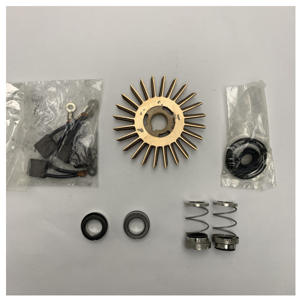 Κιτ επισκευής αντλιών Gianneschi 24V ACM301 και 311BT - KACM30101C