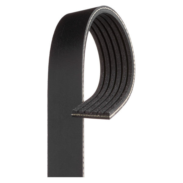 Gates Micro 1530 mm 6 G-force multibelt - 6PK1530