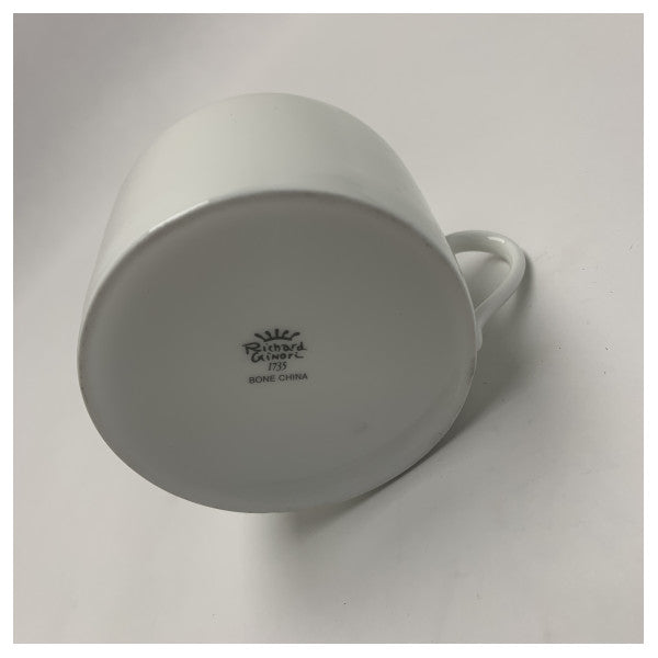 Чашка та блюдце з морської кістяної кераміки Richard Ginori Antinea