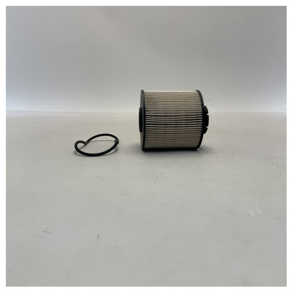 Вставний паливний фільтр Fleetguard FF5380