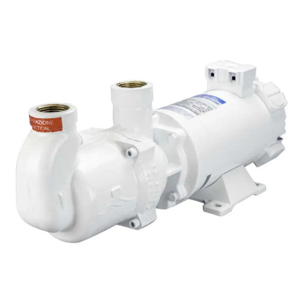 مضخة سائل ذاتية التحضير من البرونز Gianneschi MV44 24V 24V 50 لتر/دقيقة