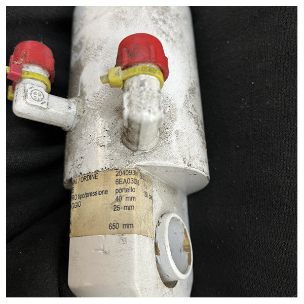 Гідроциліндр Besenzoni з нержавіючої сталі з білим покриттям - 6EA03088