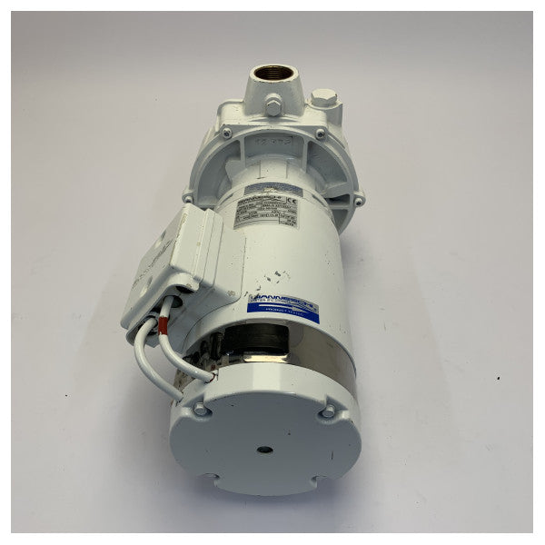 Gianneschi BMA-S 32/125 A1 Kendinden Emişli Pirinç Pompa 24V 1.1 kW 