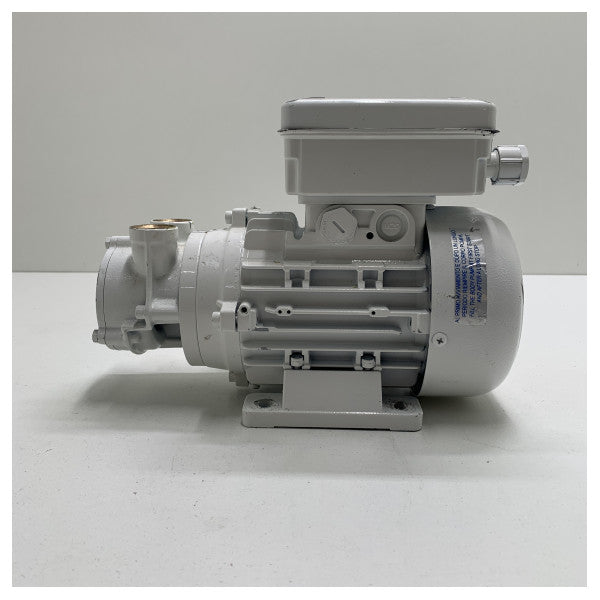 Gianneschi ACB 61 G Self-Sucking Bronze Liquid Pump 230V